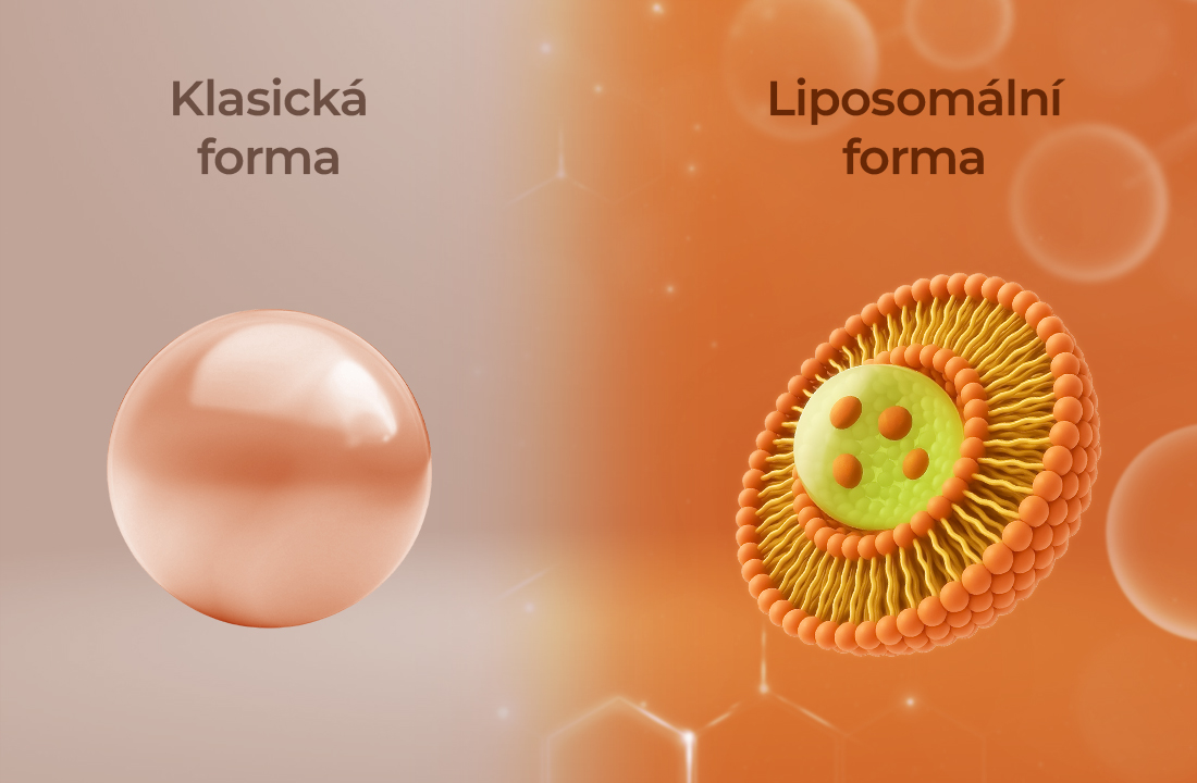 Jak funguje vitamin C